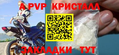 спиды Донской