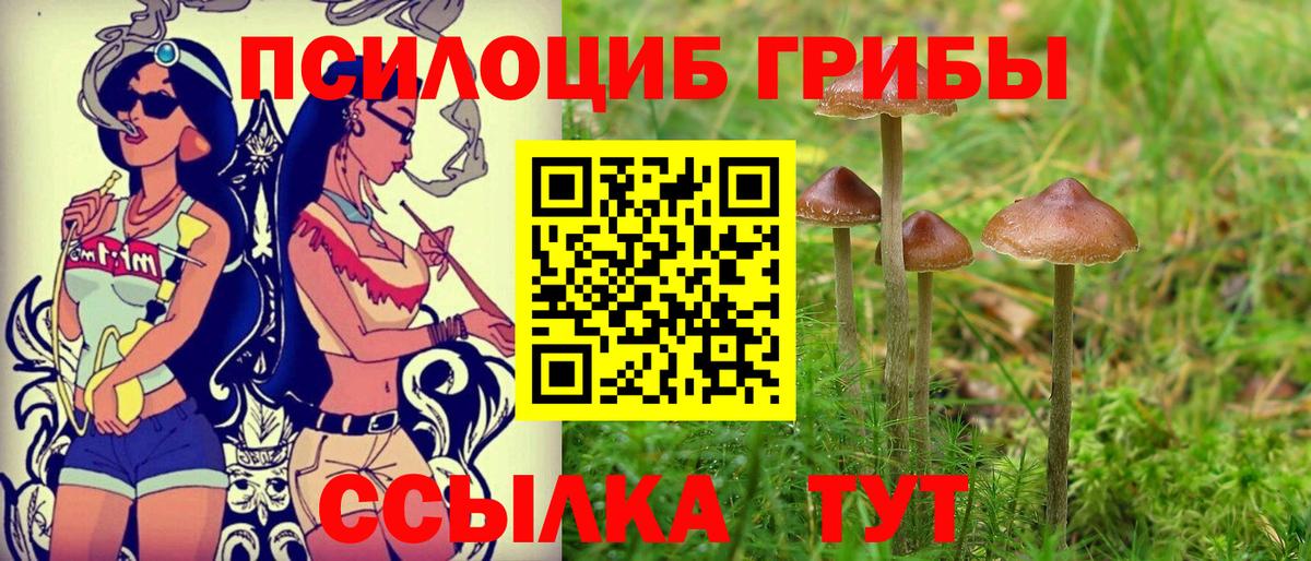 Минеральные Воды  Псилоцибиновые грибы MAGIC MUSHROOMS  Вход с VPN 